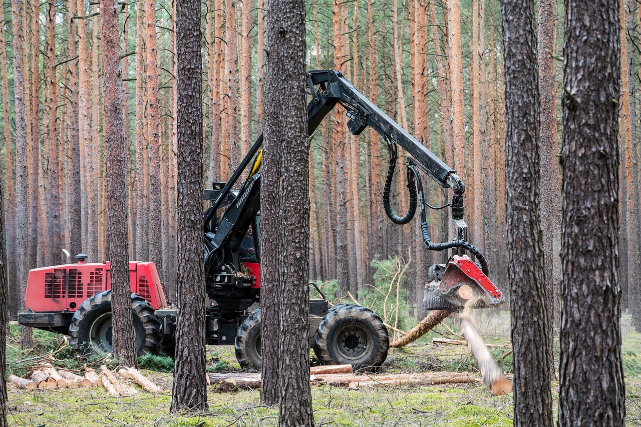 maszyna do wycinania drzew